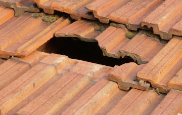 roof repair Rodd, Herefordshire