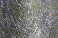 Rodd fibreglass roof work